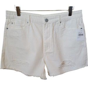 Articles of Society High Rise Destroyed Denim Jean Shorts